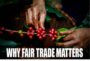 Why Fair Trade Matters