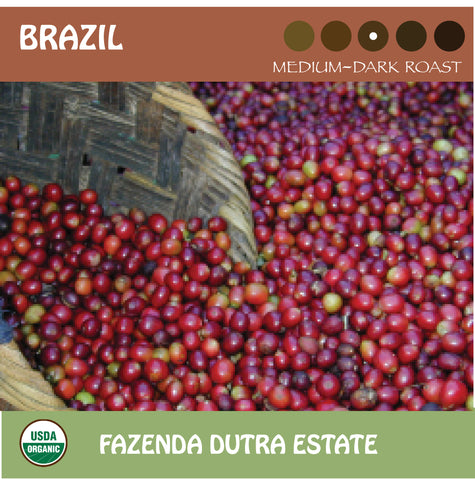 Red coffee beans spilling out of a basket. Fazenda Dutra estate. Brazil.  Signature Coffee's organic medium-dark roast. USDA Organic. Fair Trade Certified.