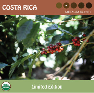 Red coffee cherries on a coffee plant representing Signature's limited edition medium roast Costa Rica Coffee. USDA organic logo.