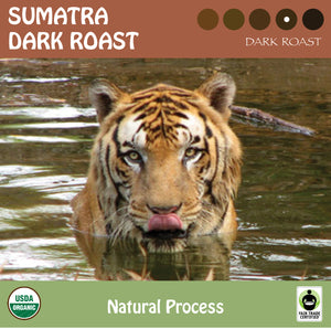 A tiger in the water, licking it's lips. Representing Signature's dark roast natural process coffee from Sumatra. USDA organic and Fair Trade Certified logos. logo