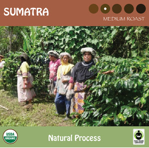 Four women coffee farmers with coffee trees. Representing Signature's medium roastSumatra coffee. USDA organic and Fair Trade Certified logos.