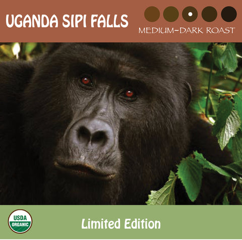 A close-up of a gorilla's face representing the strong bold taste of the medium roast Uganda Sipi Falls organic coffee. Limited Edition. USDA organic and Fair Trade Certified logos. 